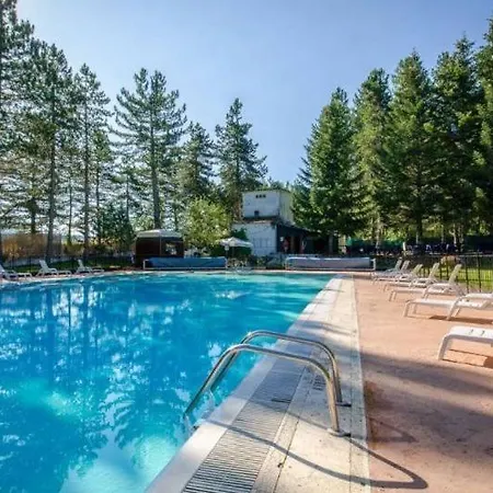 In - Parco Nazionale D'abruzzo