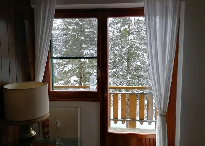 In - Parco Nazionale D'abruzzo *