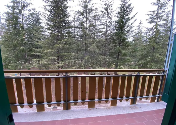 In - Parco Nazionale D'abruzzo Пескассероли