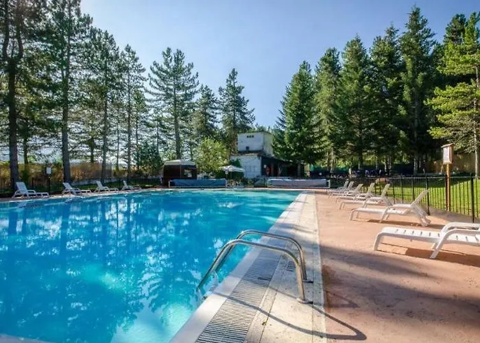 In - Parco Nazionale D'abruzzo