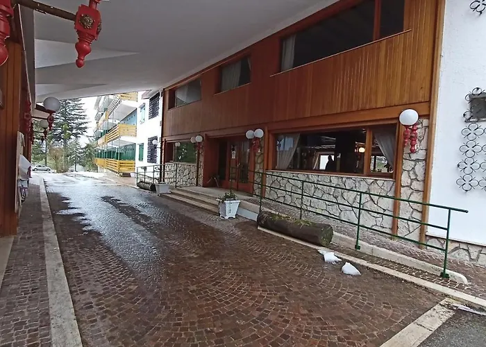 In - Parco Nazionale D'abruzzo *